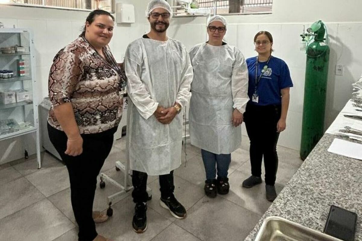 Imagem de compartilhamento para o artigo Chapadão do Sul castra 400 cães e gatos na primeira etapa do mutirão de 2025 da MS Todo dia